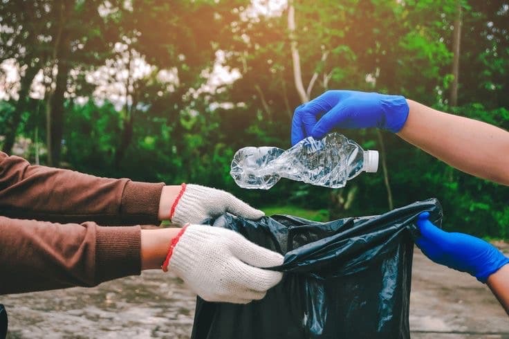 Importance Of Cleanliness In The School